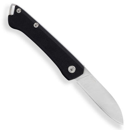 Buck 250 Saunter Drop Point Folding Knife Back View