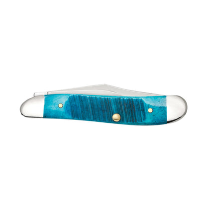 Case Peanut Caribbean Blue Bone Pocket Knife Back Side