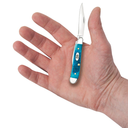 Case Peanut Caribbean Blue Bone Pocket Knife in Hand