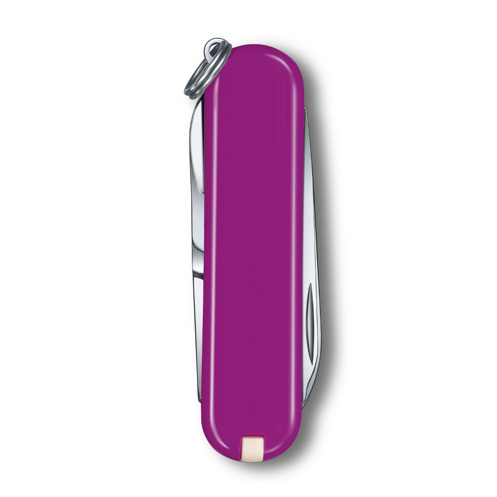 Purple Tasty Grape Classic SD Swiss Army Knife by Victorinox Closed Back View