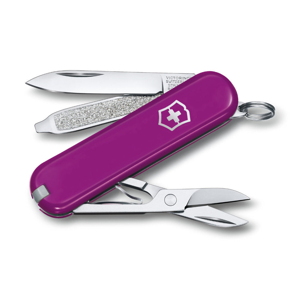 Purple Tasty Grape Classic SD Swiss Army Knife by Victorinox