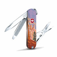 Victorinox Electric Yellow Hunter Pro Alox 2023 Limited Edition Swiss Army  Knife at Swiss Knife Shop